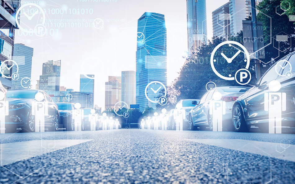 1635232120664848.jpg 5.jpg