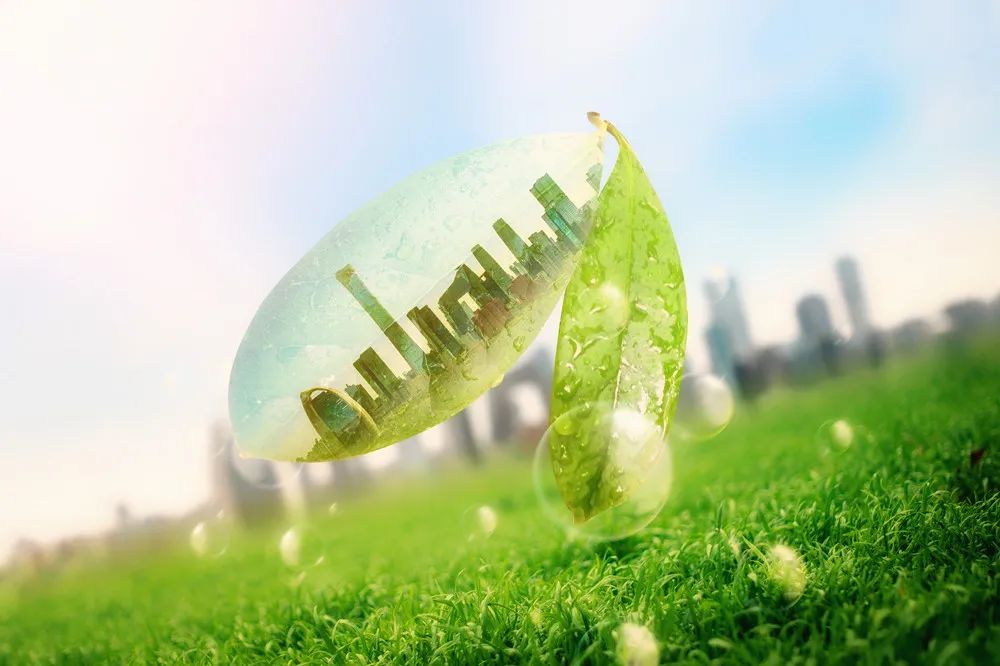 1648025331141961.jpg 微信圖片_20220323164826.jpg